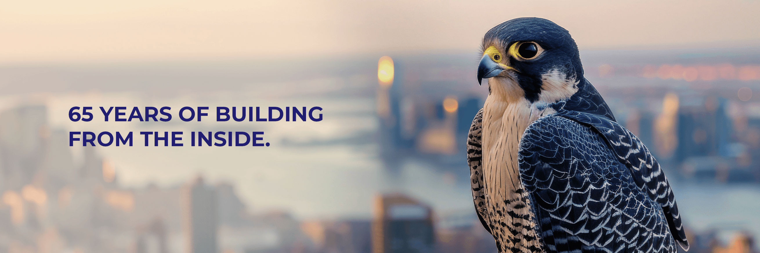 About Falco